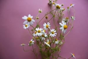 blog-koupel 913